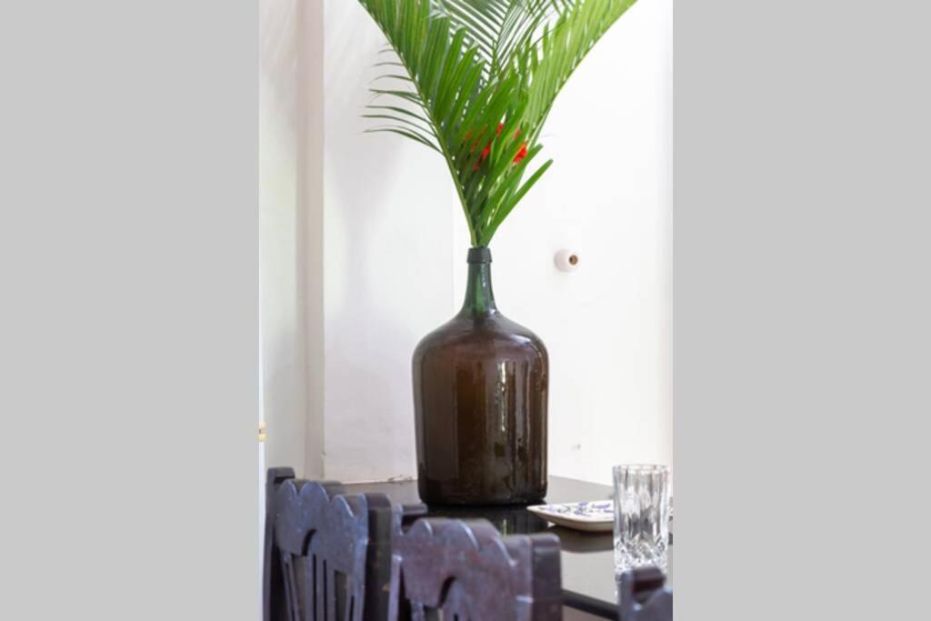 Villa Barbosa, 2 Bhk Villa & Luxury Rooms Near Colva, Sernabatim, Benaulim Beach Ngoại thất bức ảnh