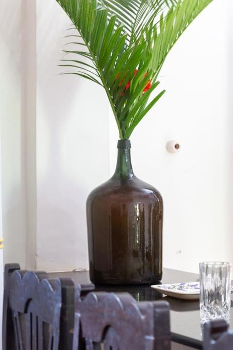 Villa Barbosa, 2 Bhk Villa & Luxury Rooms Near Colva, Sernabatim, Benaulim Beach Ngoại thất bức ảnh